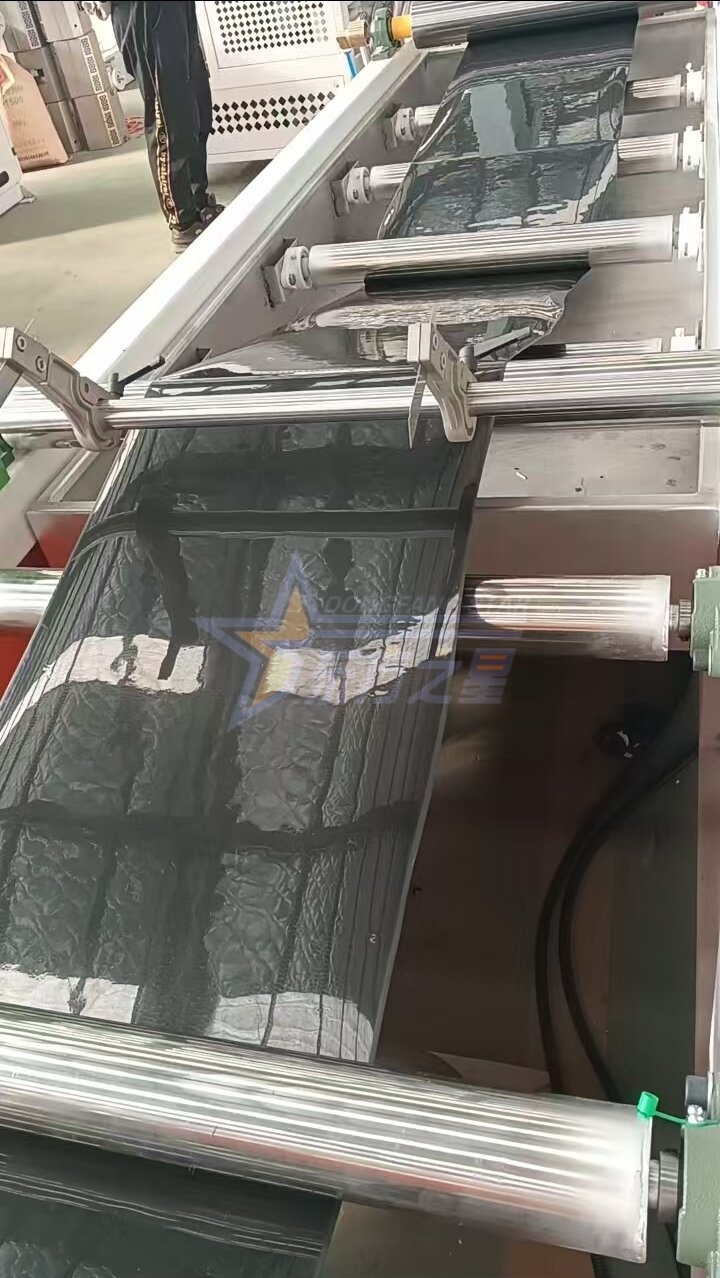 Bezeroak Qingdaoko EASTSTAR fabrika bisitatzen du PP/PS Plantulen erretiluko xafla ekoizte-lerroaren probarako.